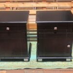 Pair of bedside pedestals